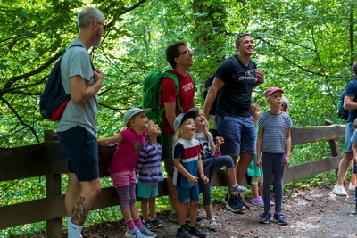 Vater-Kind-Ausflug zum Altenberger Märchenwald 2020